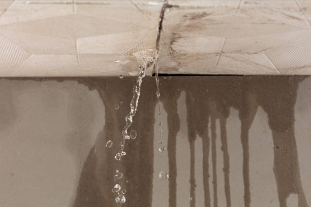 Professional Water Damage Repair technician working in Moore, TX